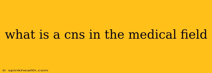 what is a cns in the medical field