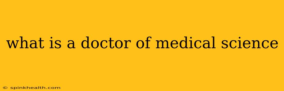what is a doctor of medical science