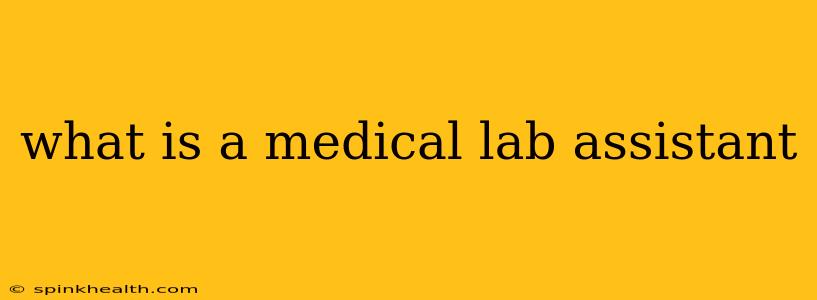 what is a medical lab assistant