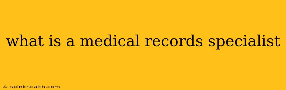 what is a medical records specialist