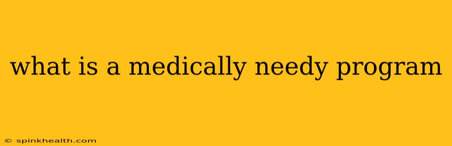 what is a medically needy program