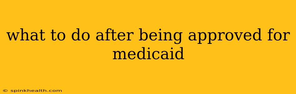 what to do after being approved for medicaid