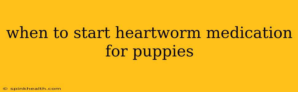 when to start heartworm medication for puppies