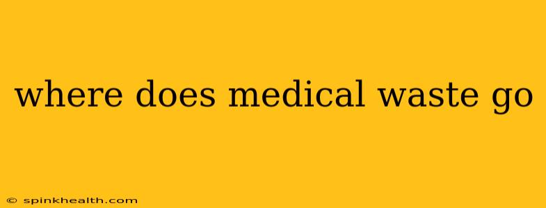 where does medical waste go