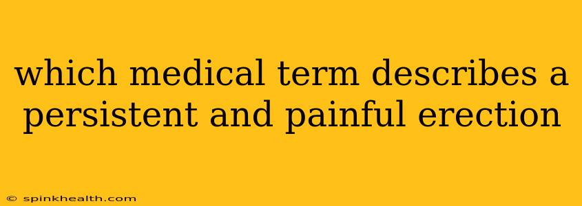 which medical term describes a persistent and painful erection