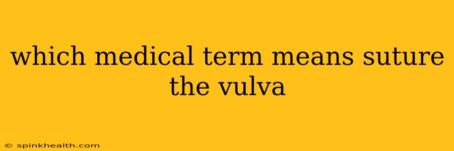 which medical term means suture the vulva